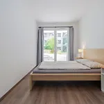 Is Out Budapešť