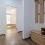 Apartmán Is Out *